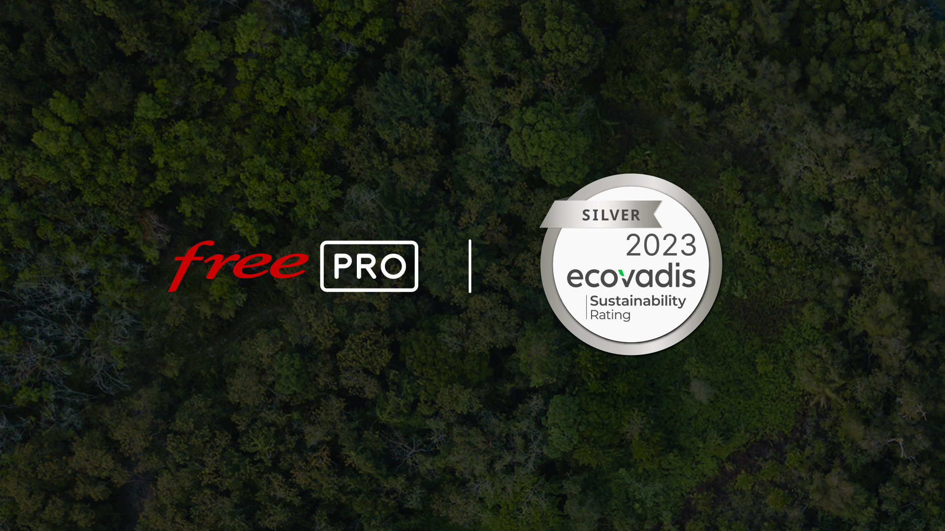 visuel-blog-ecovadis (2)